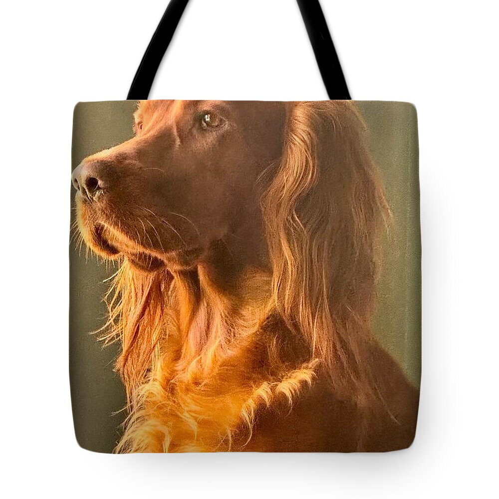 Aine the Regal Irish Setter - Tote Bag