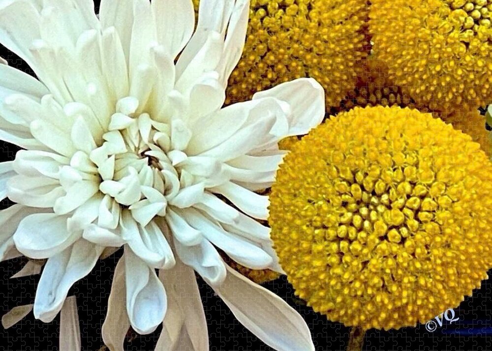 Chrysanthemum and Yellow Spheres - Puzzle
