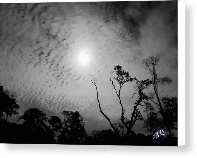 Moonlit Night with Silhouetted Trees - Canvas Print