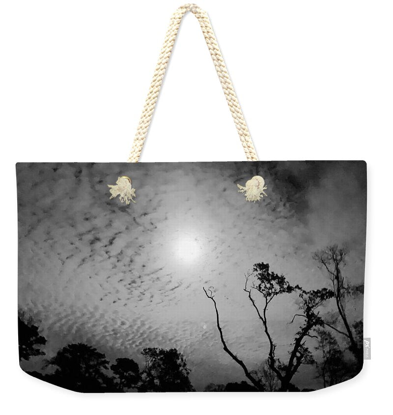 Moonlit Night with Silhouetted Trees - Weekender Tote Bag