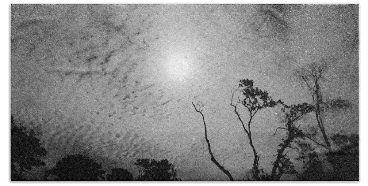 Moonlit Night with Silhouetted Trees - Bath Towel