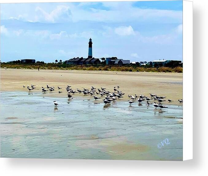Seagulls on a Sandy Shoreline - Canvas Print