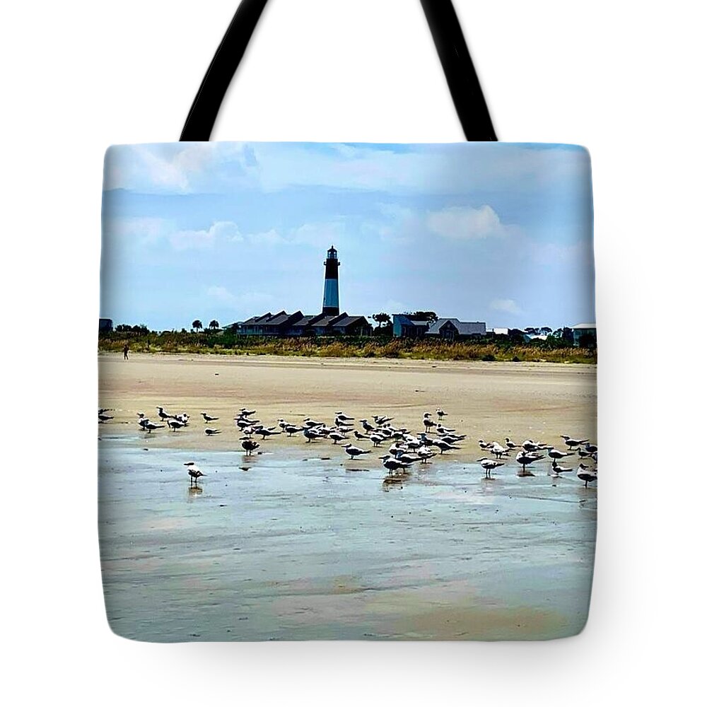 Seagulls on a Sandy Shoreline - Tote Bag