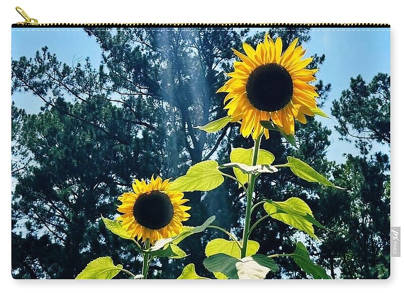 Sunflowers Reaching Towards the Sky - Zip Pouch