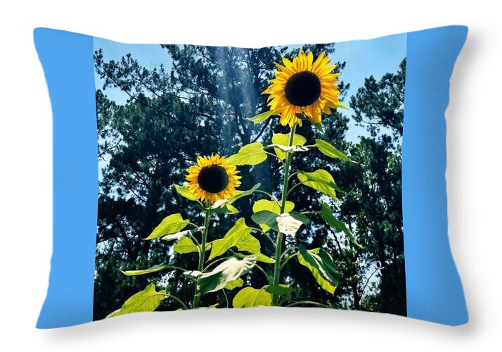 Sunflowers Reaching Towards the Sky - Throw Pillow