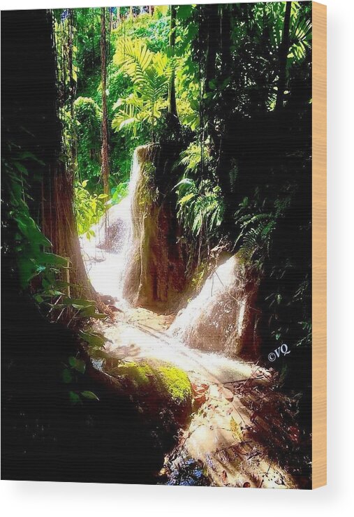 Sunlit Jungle Waterfall - Wood Print
