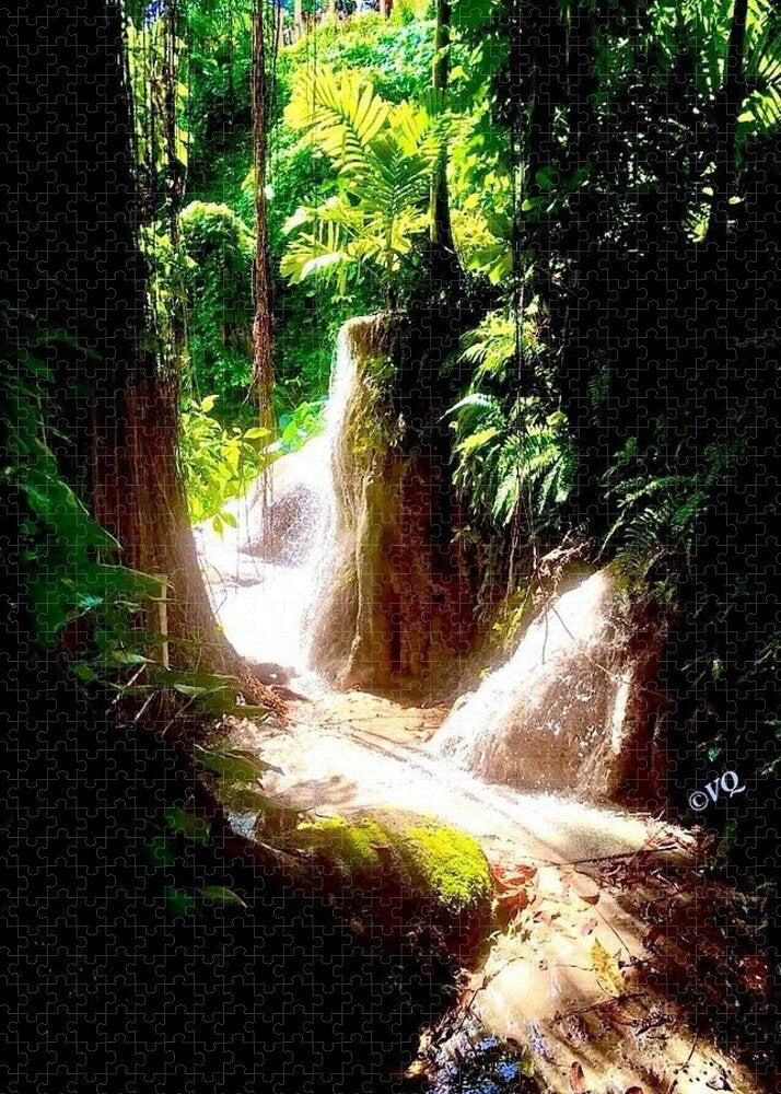 Sunlit Jungle Waterfall - Puzzle