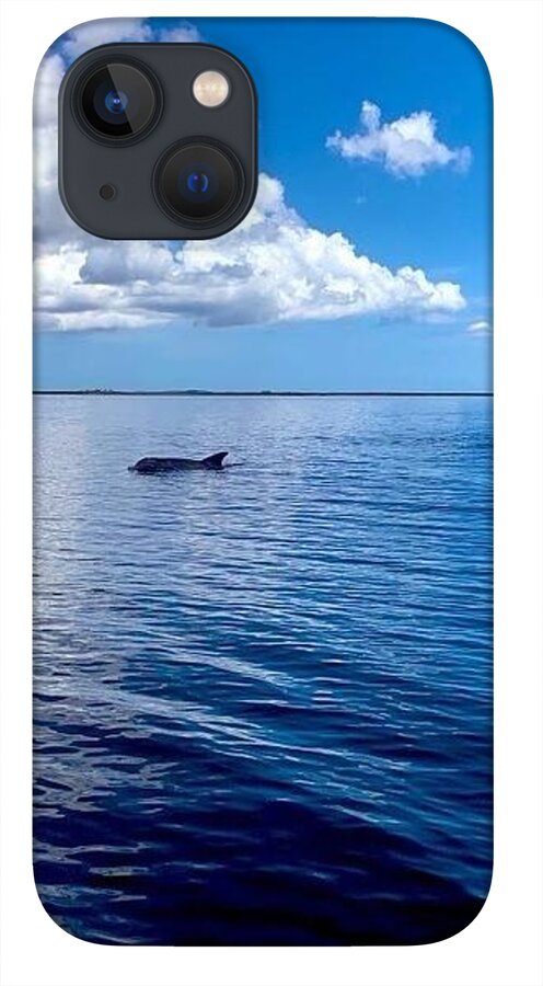 Tranquil Waters with Dolphin - Phone Case