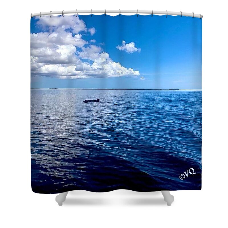 Tranquil Waters with Dolphin - Shower Curtain