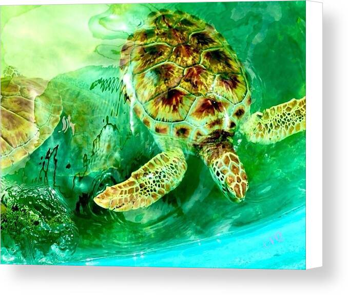 Turtles in Vibrant Waters - Canvas Print