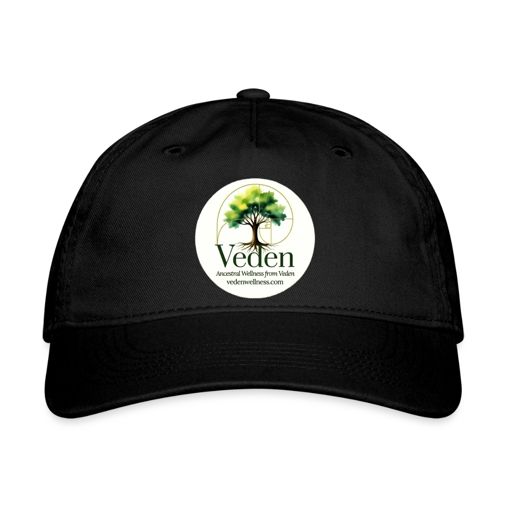 Organic Baseball Cap - black