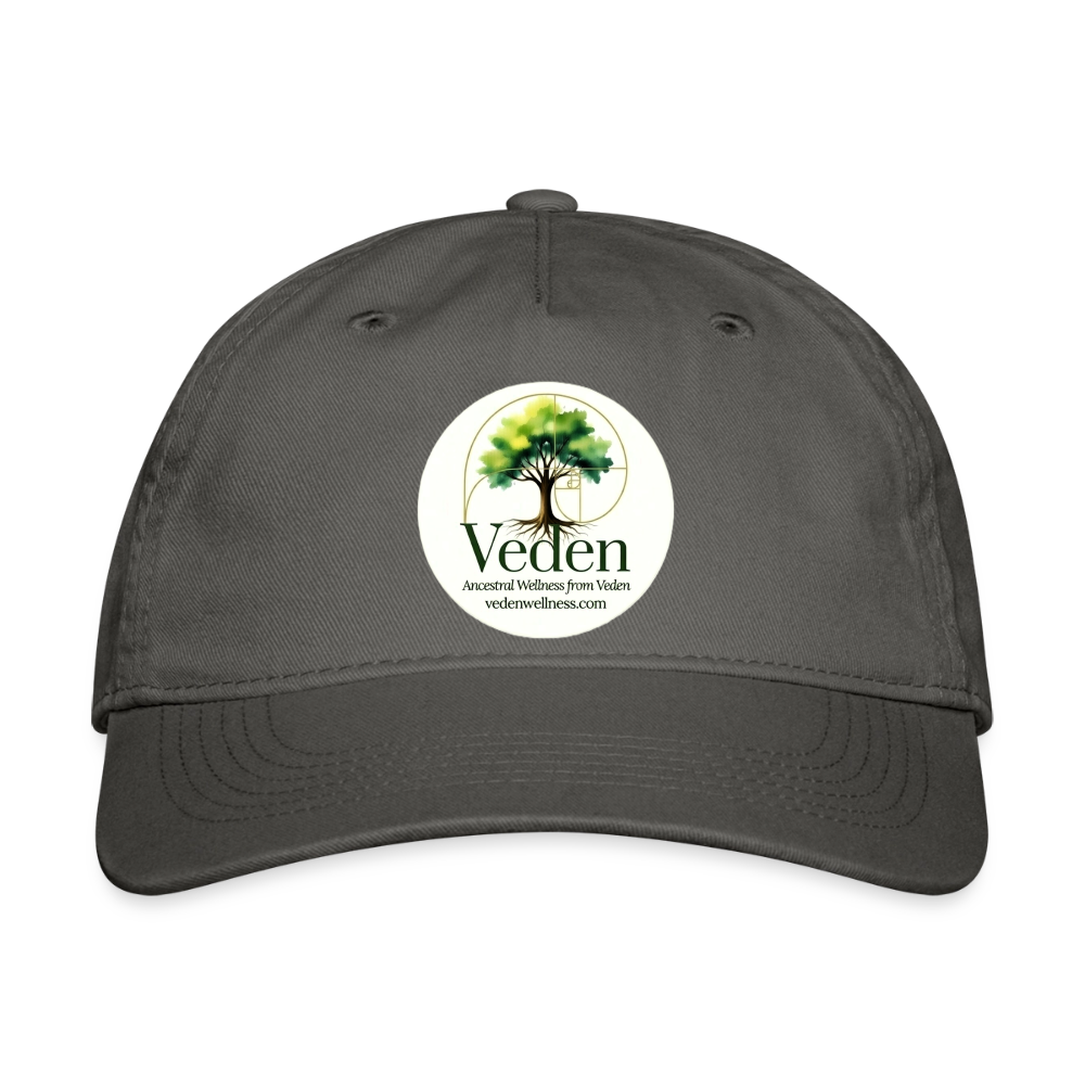 Organic Baseball Cap - charcoal
