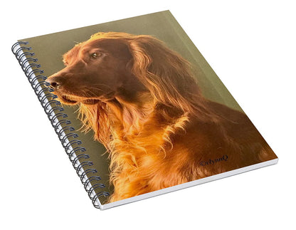 Aine the Regal Irish Setter - Spiral Notebook