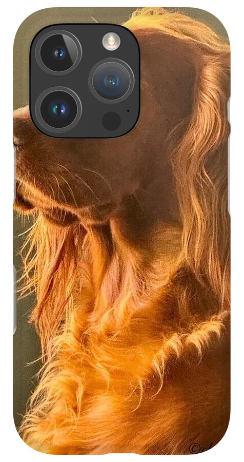 Aine the Regal Irish Setter - Phone Case