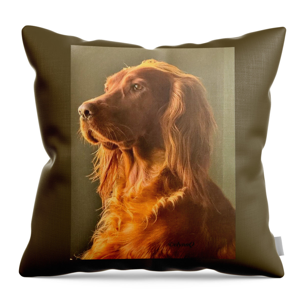 Aine the Regal Irish Setter - Throw Pillow