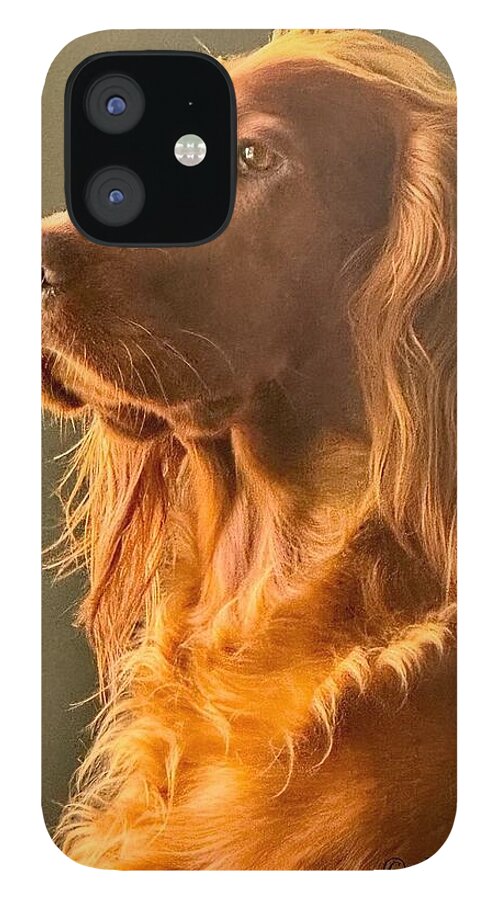 Aine the Regal Irish Setter - Phone Case