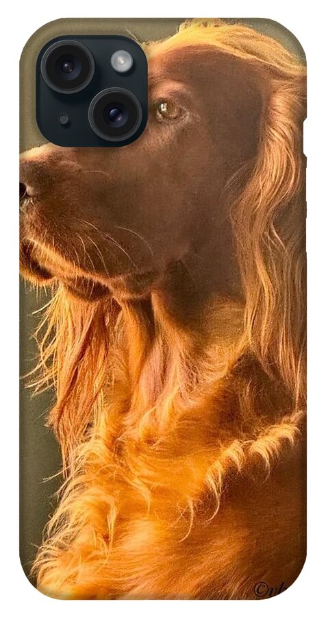 Aine the Regal Irish Setter - Phone Case