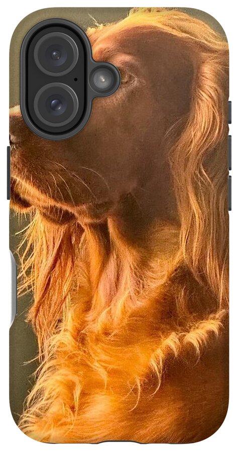 Aine the Regal Irish Setter - Phone Case