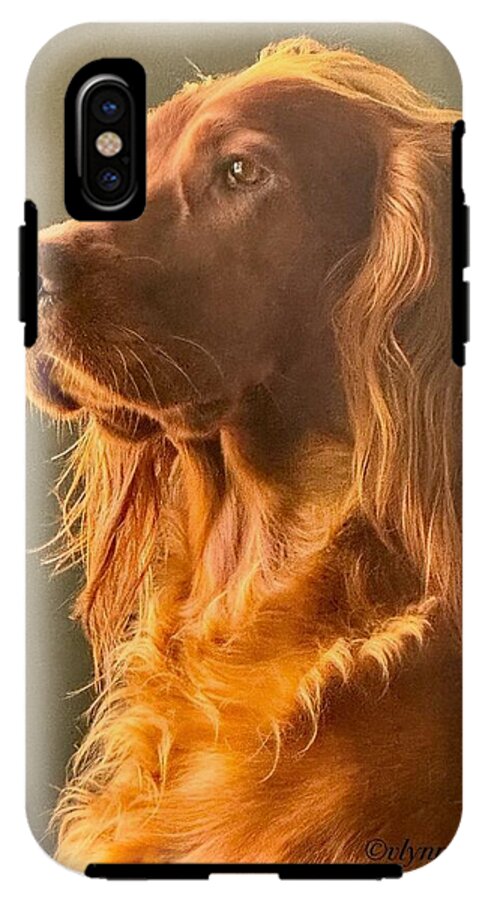Aine the Regal Irish Setter - Phone Case