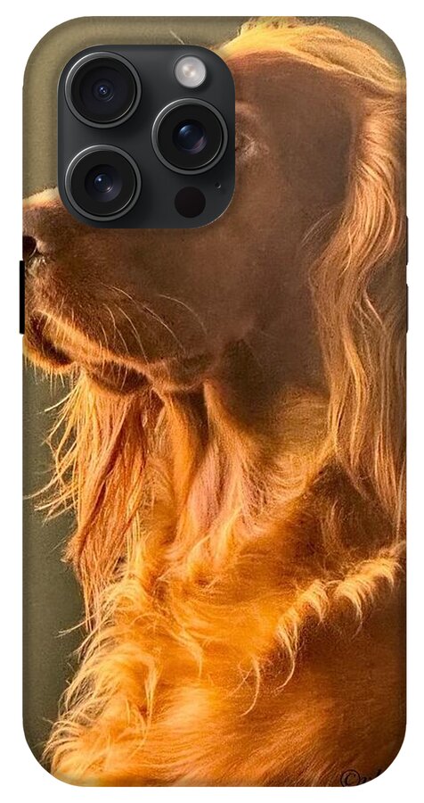 Aine the Regal Irish Setter - Phone Case