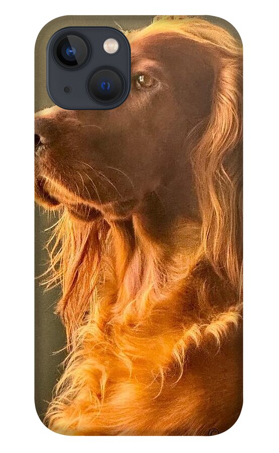 Aine the Regal Irish Setter - Phone Case