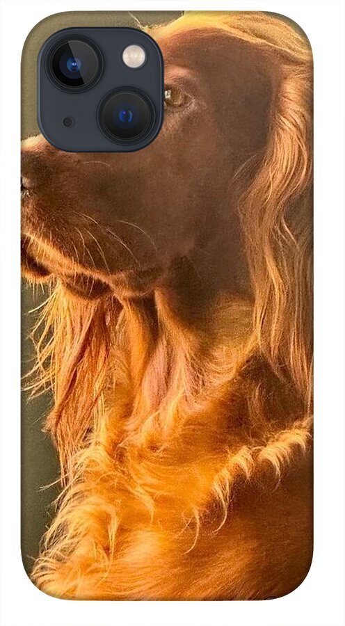 Aine the Regal Irish Setter - Phone Case