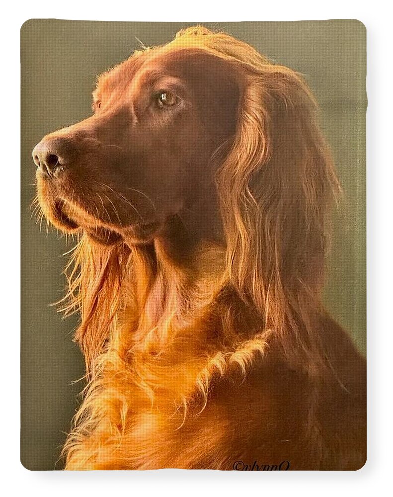 Aine the Regal Irish Setter - Blanket