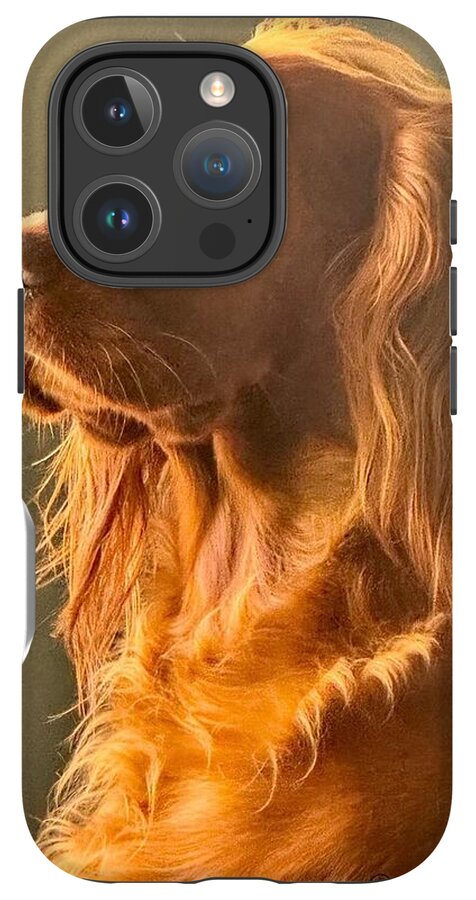 Aine the Regal Irish Setter - Phone Case