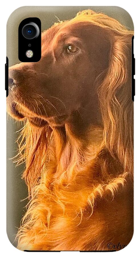 Aine the Regal Irish Setter - Phone Case