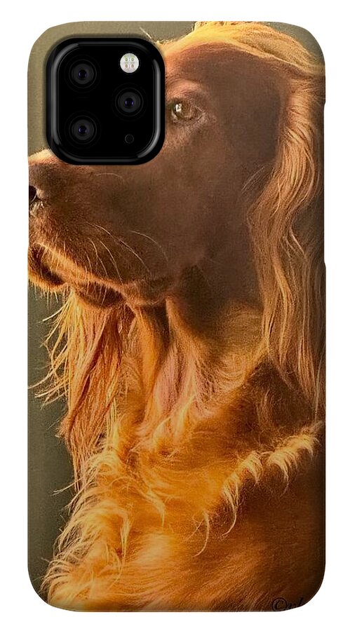 Aine the Regal Irish Setter - Phone Case