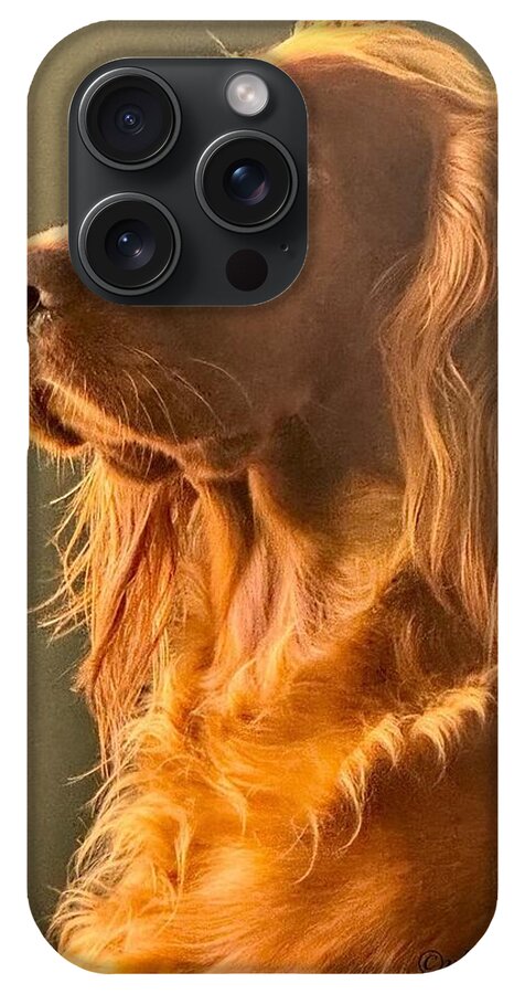 Aine the Regal Irish Setter - Phone Case