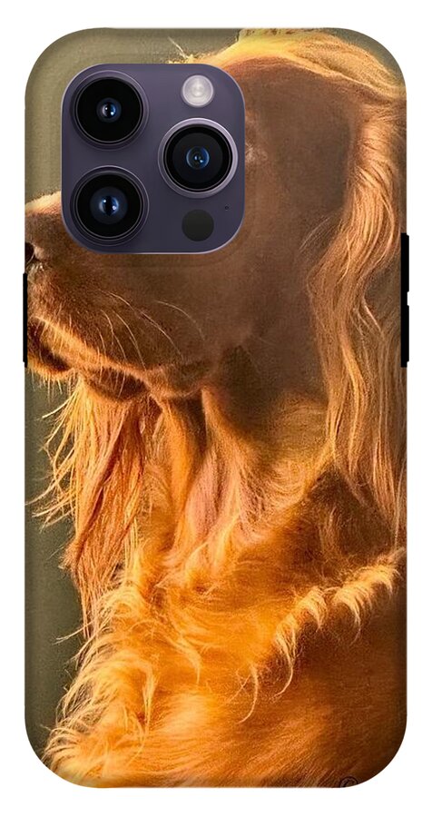 Aine the Regal Irish Setter - Phone Case
