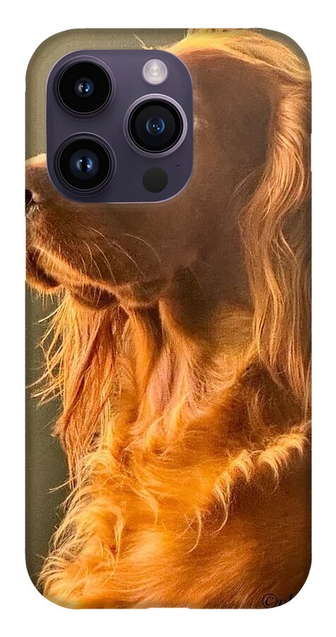 Aine the Regal Irish Setter - Phone Case