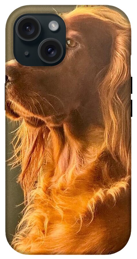 Aine the Regal Irish Setter - Phone Case