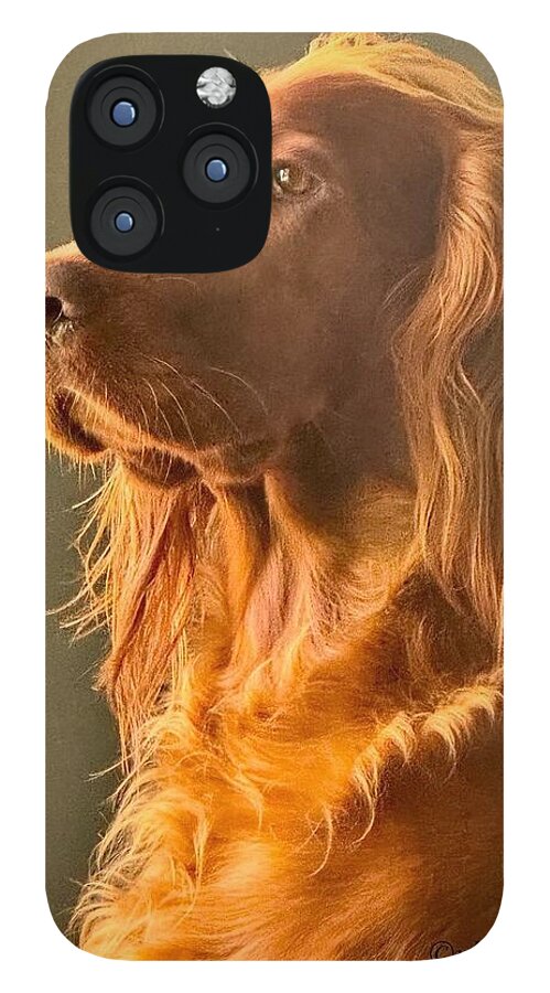 Aine the Regal Irish Setter - Phone Case