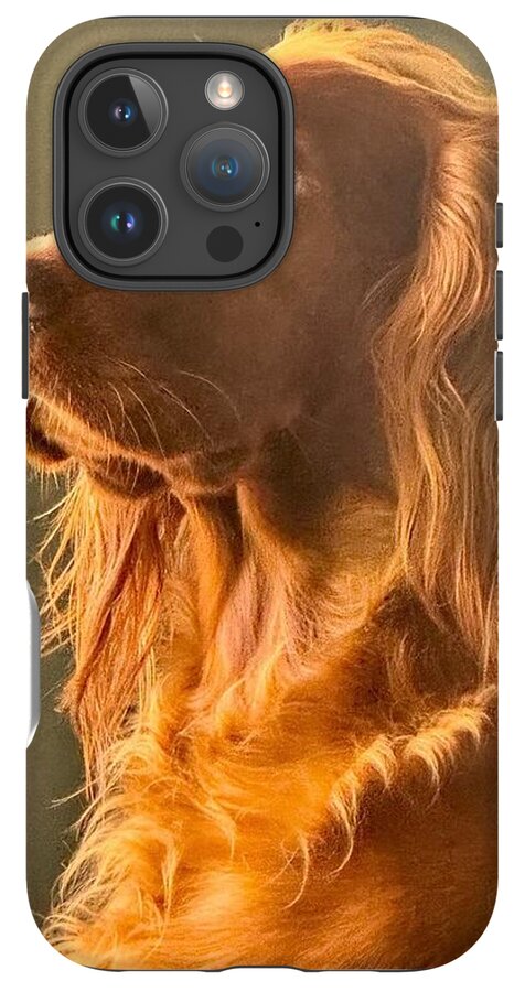 Aine the Regal Irish Setter - Phone Case