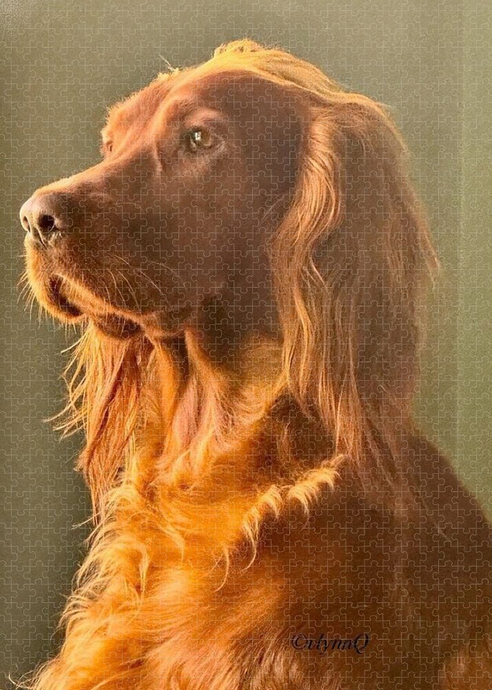 Aine the Regal Irish Setter - Puzzle