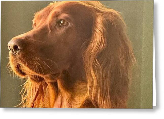 Aine the Regal Irish Setter - Greeting Card