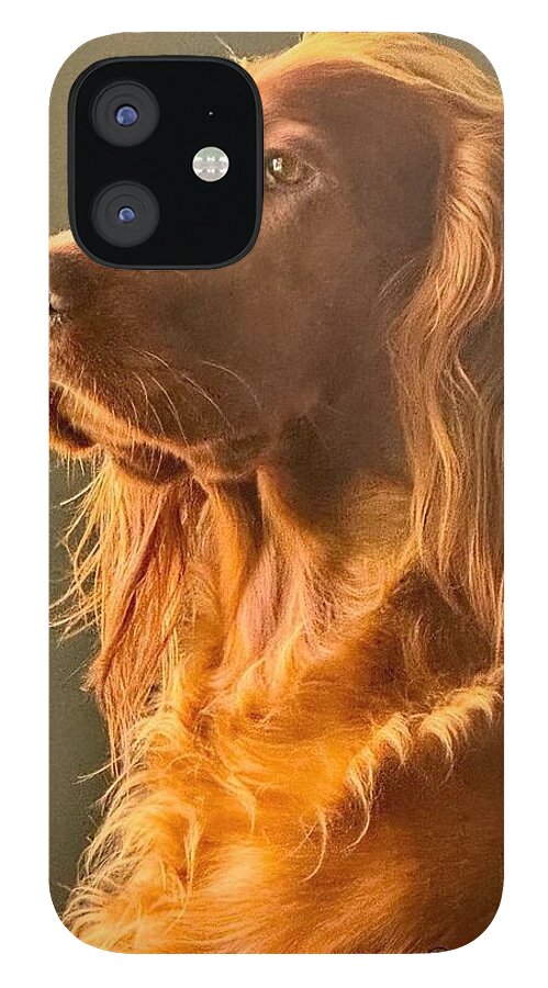 Aine the Regal Irish Setter - Phone Case