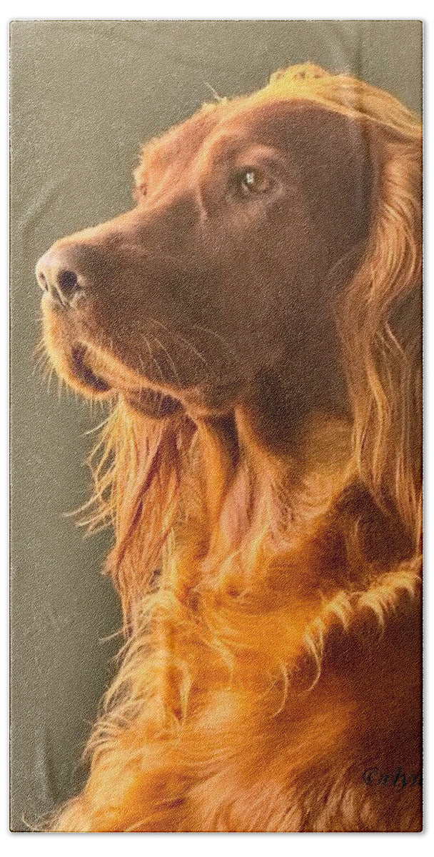 Aine the Regal Irish Setter - Bath Towel