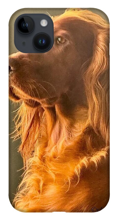 Aine the Regal Irish Setter - Phone Case