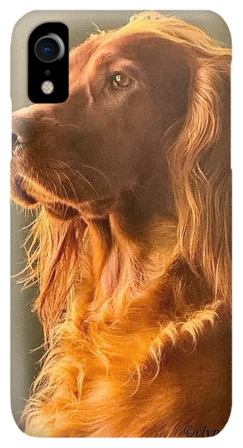 Aine the Regal Irish Setter - Phone Case