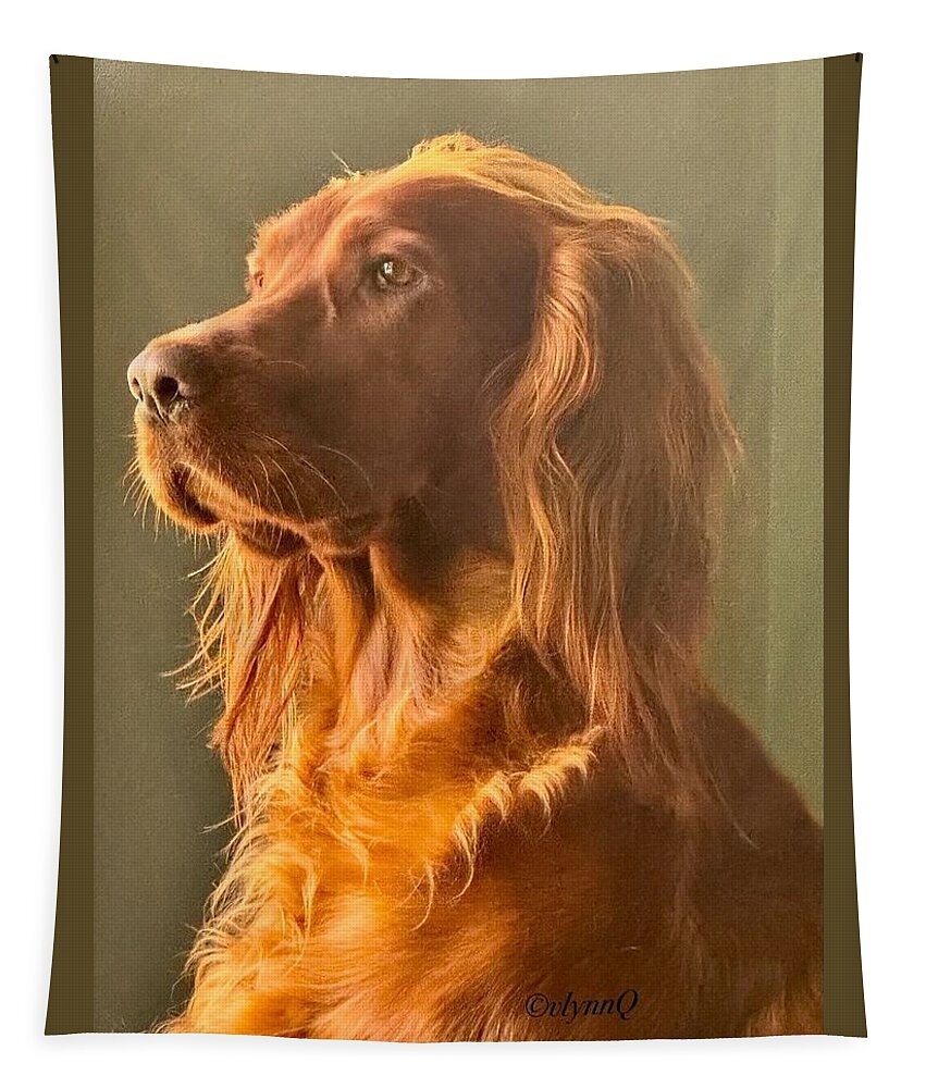 Aine the Regal Irish Setter - Tapestry