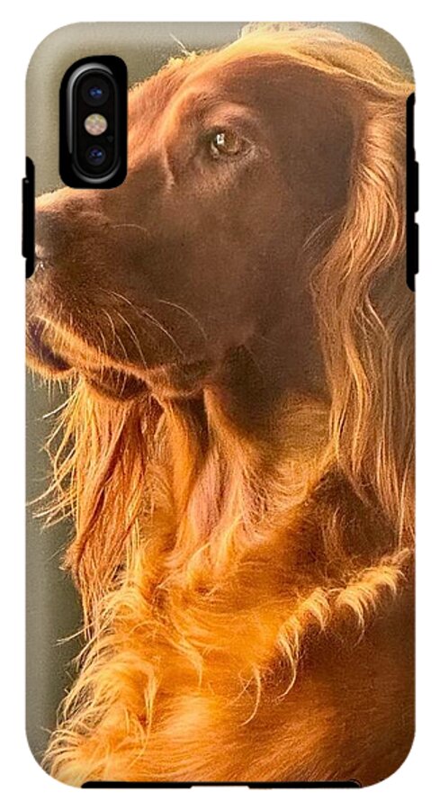 Aine the Regal Irish Setter - Phone Case