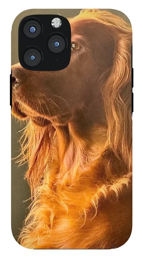 Aine the Regal Irish Setter - Phone Case