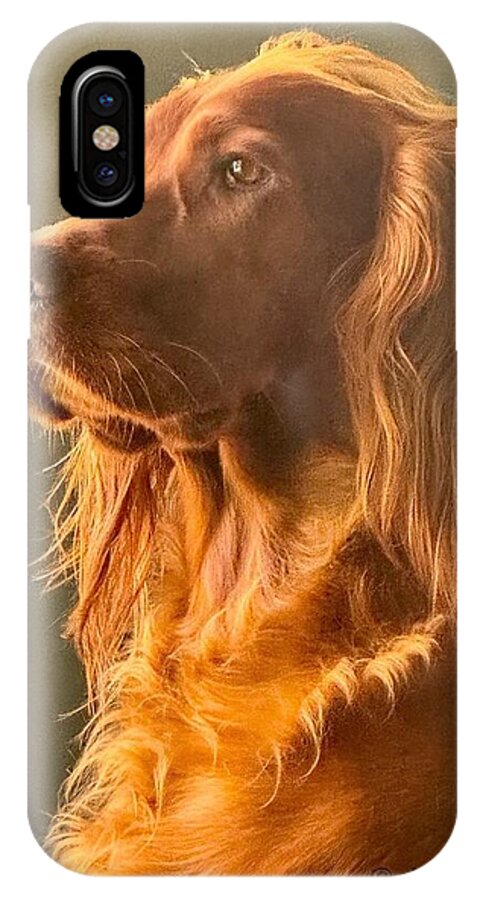 Aine the Regal Irish Setter - Phone Case