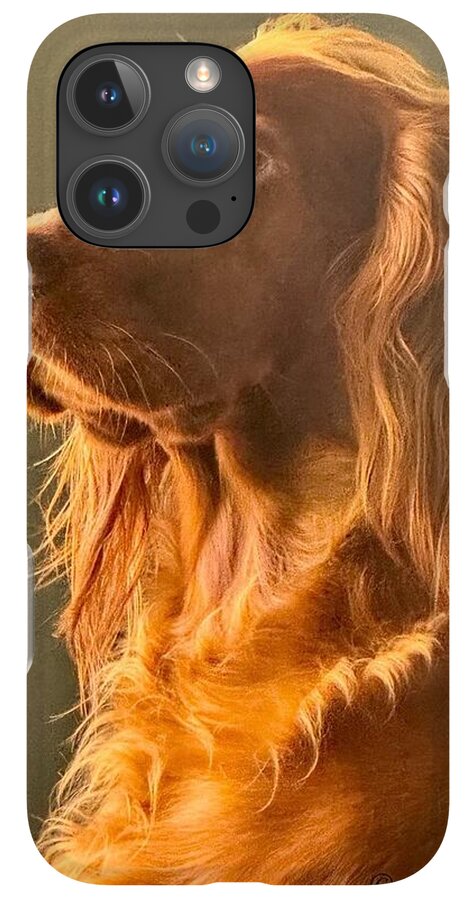 Aine the Regal Irish Setter - Phone Case
