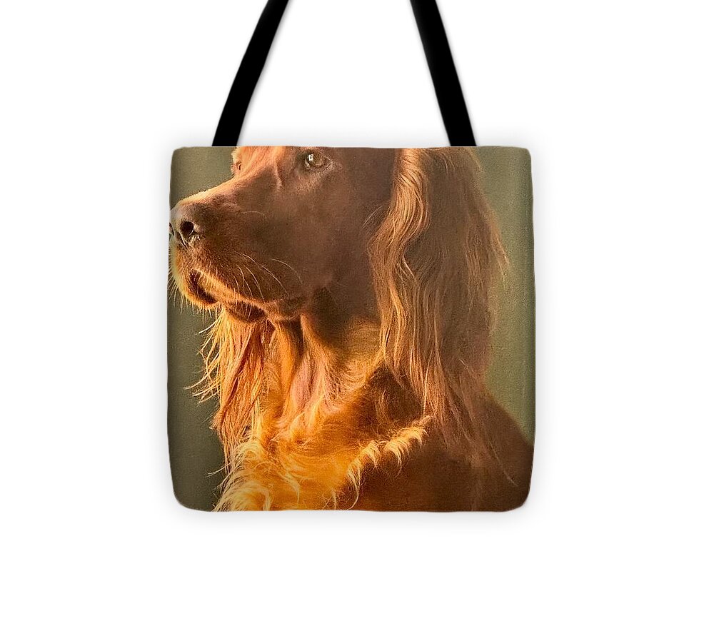 Aine the Regal Irish Setter - Tote Bag