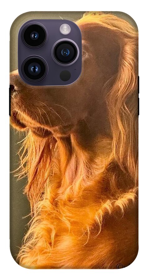 Aine the Regal Irish Setter - Phone Case