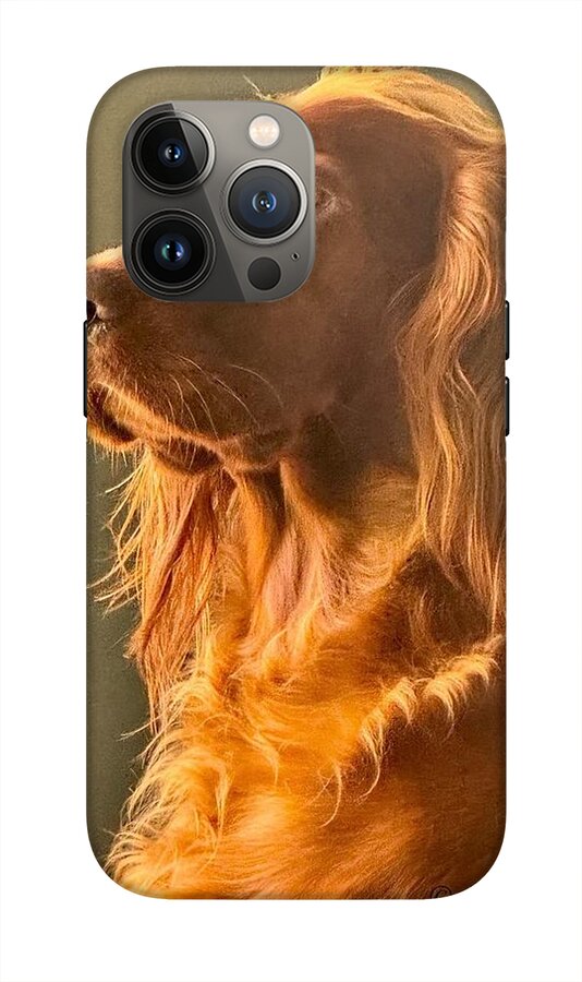 Aine the Regal Irish Setter - Phone Case
